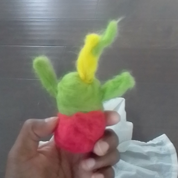 🌵catus - Picture 2 of 2